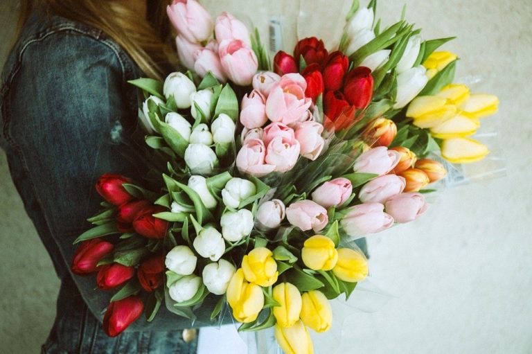 Videos, Tours & Brochures